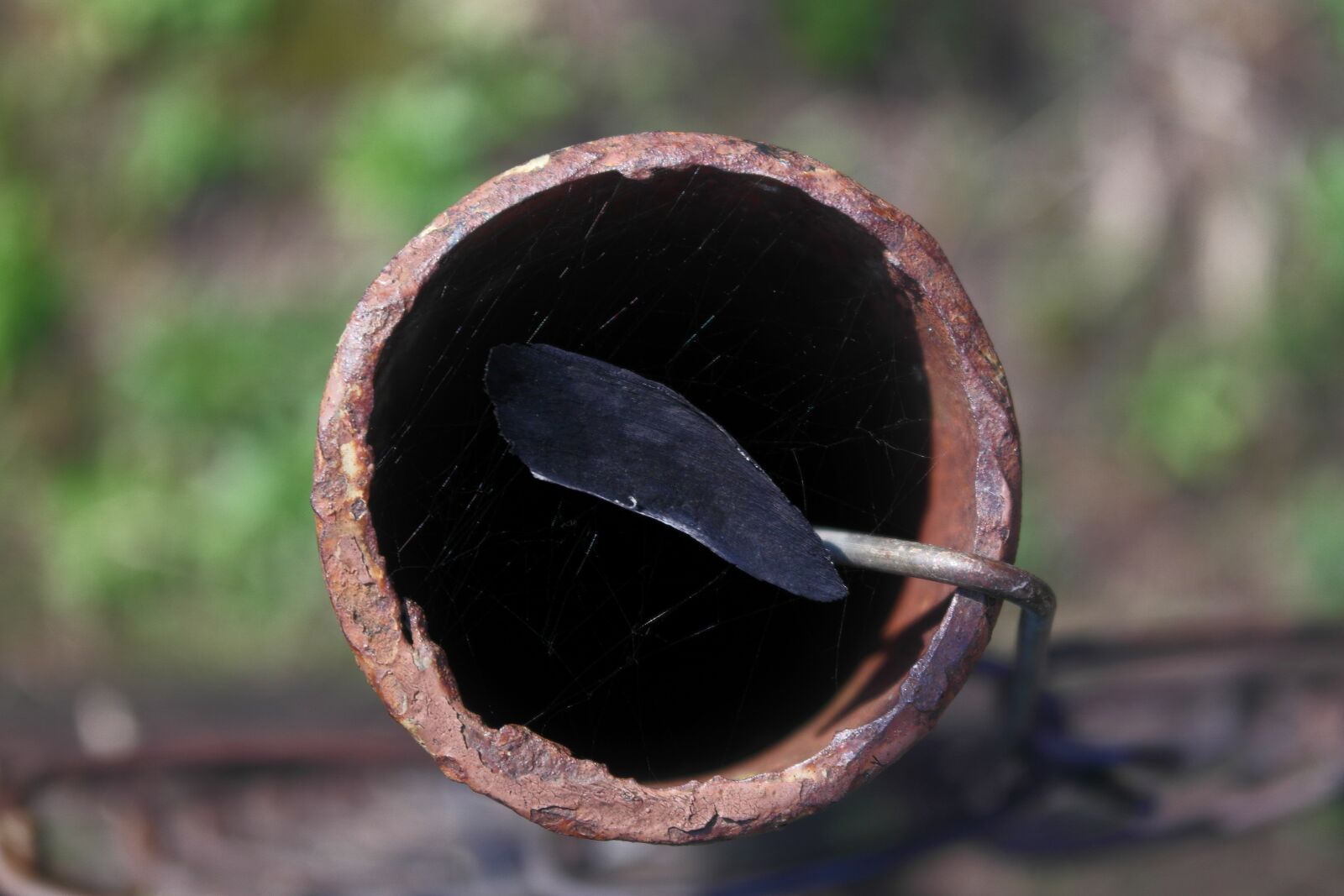 Samsung NX1000 sample photo. Tube, spider web, outdoors photography
