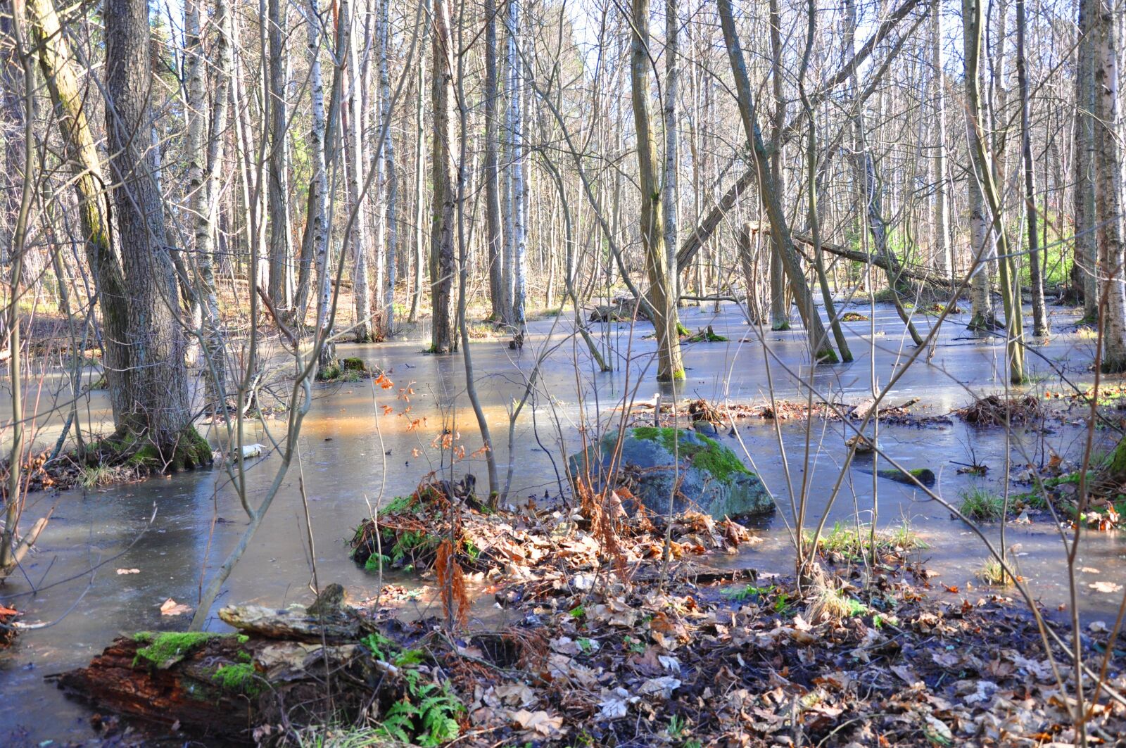 Nikon D90 sample photo. Nature, body of water photography