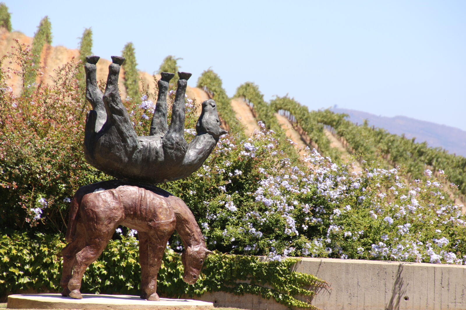 Canon EOS 7D Mark II sample photo. Carry, feet, in, the photography