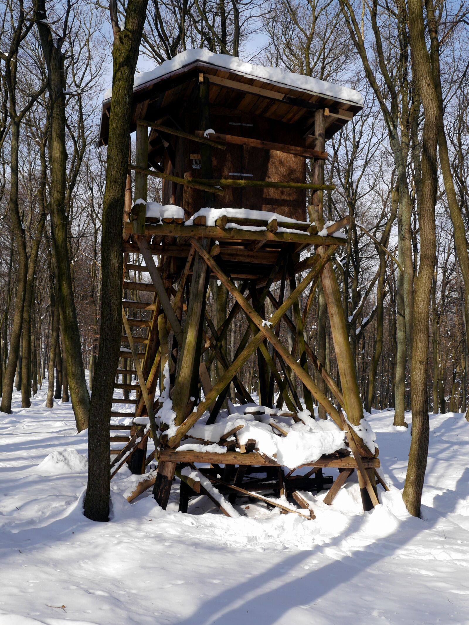 Panasonic Lumix DMC-G6 sample photo. Hide, forest, winter photography