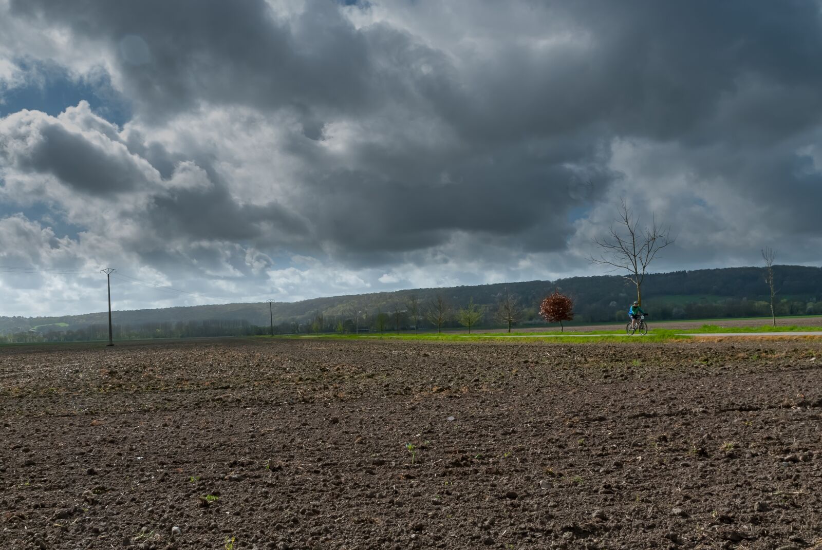Nikon D80 sample photo. Landscape, field, sky photography