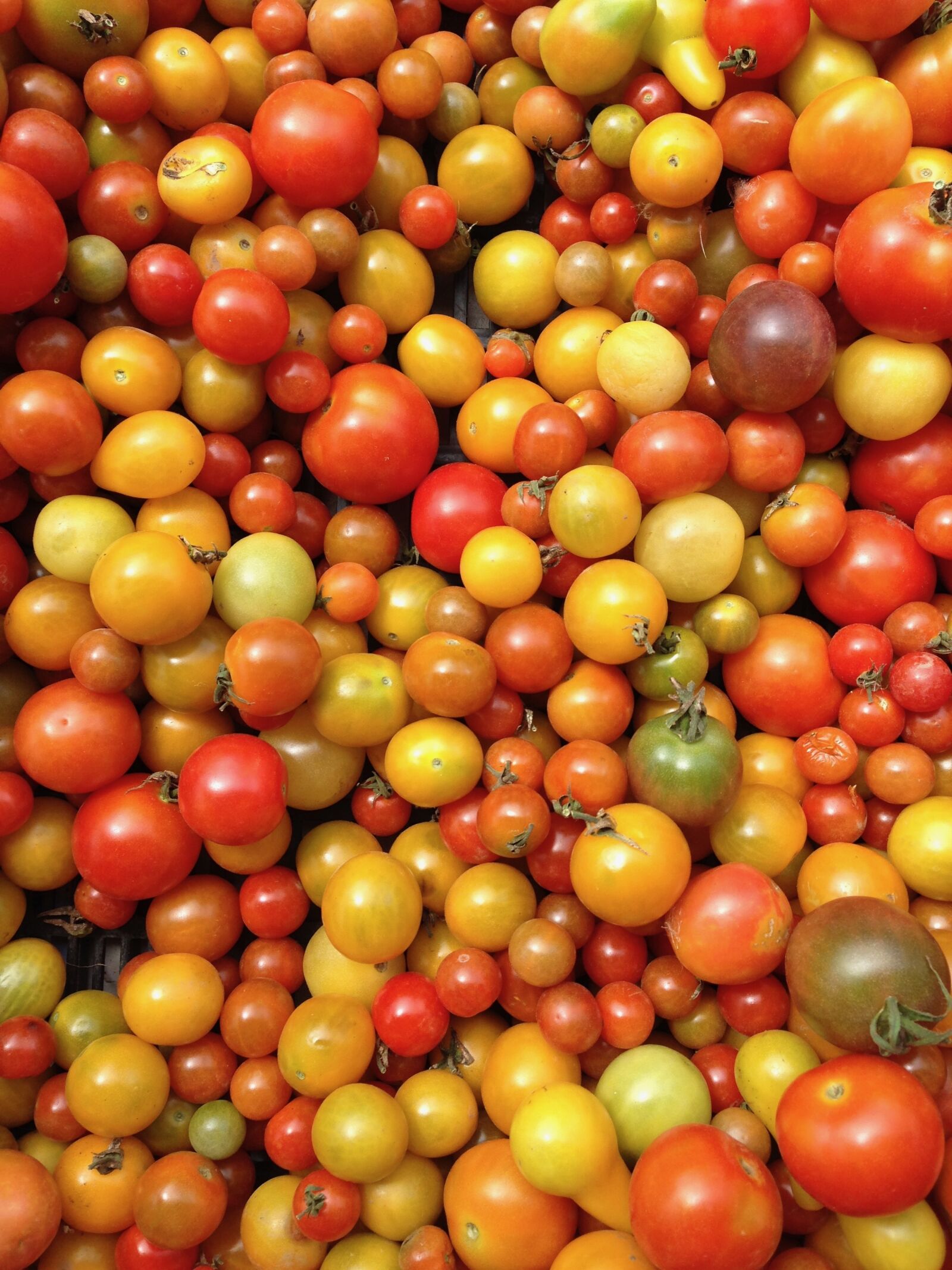 iPhone 5 back camera 4.12mm f/2.4 sample photo. Tomatoes, vegetables, market photography