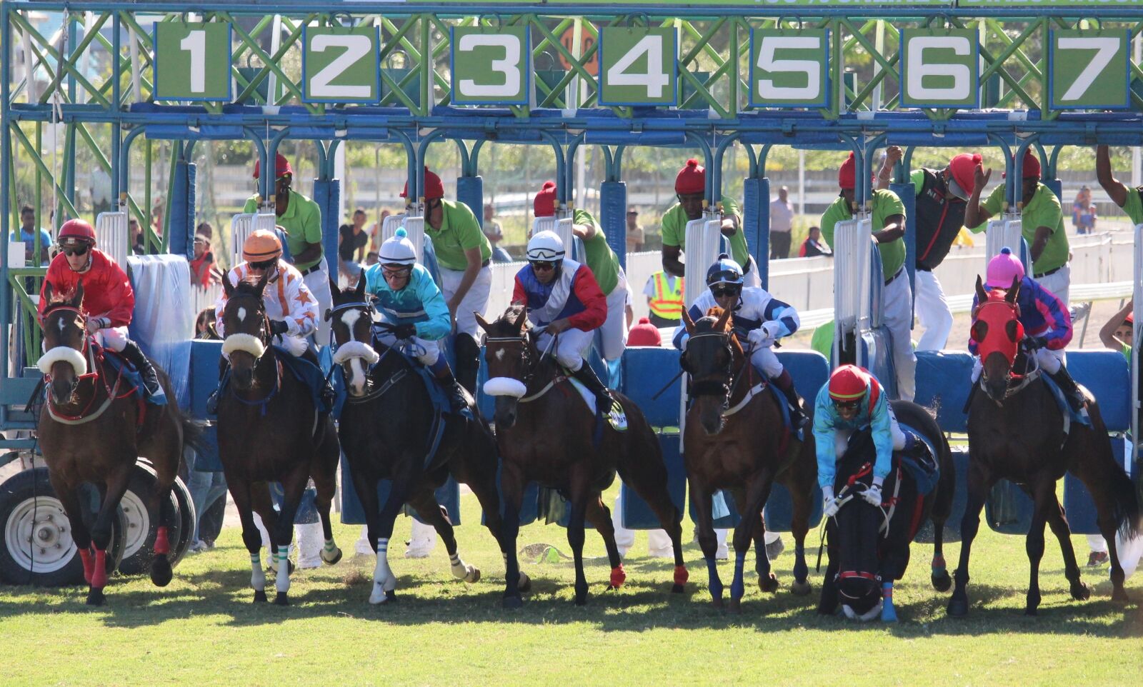 Canon EOS 1200D (EOS Rebel T5 / EOS Kiss X70 / EOS Hi) sample photo. Horse racing, start, fall photography