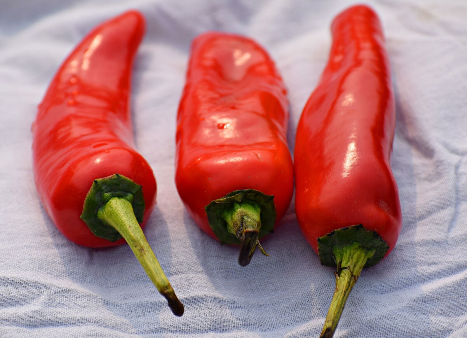 Nikon D3300 sample photo. Organic, food, chili photography