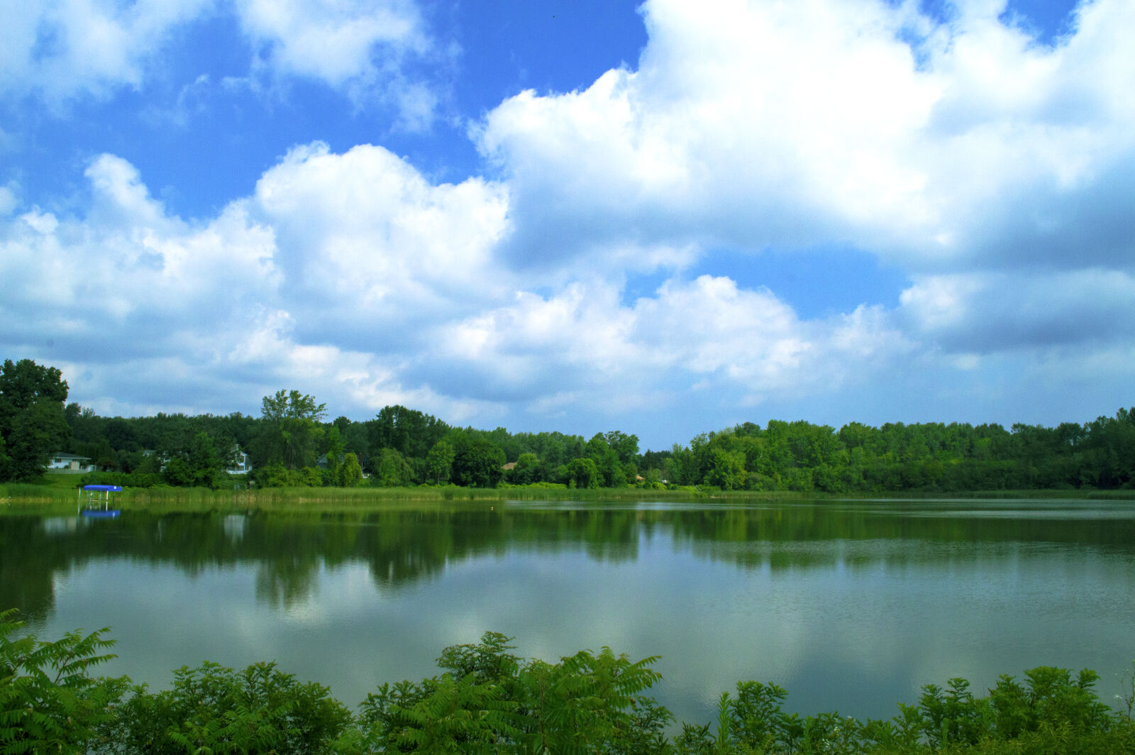 Nikon D3200 sample photo. Blue, blue, sky, green photography