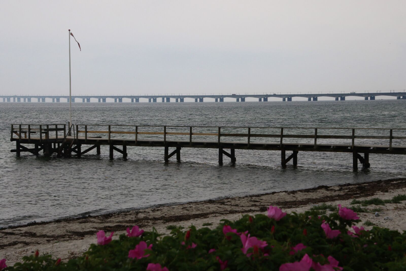Canon EOS 7D Mark II sample photo. Beach, bridge, flowers, holiday photography