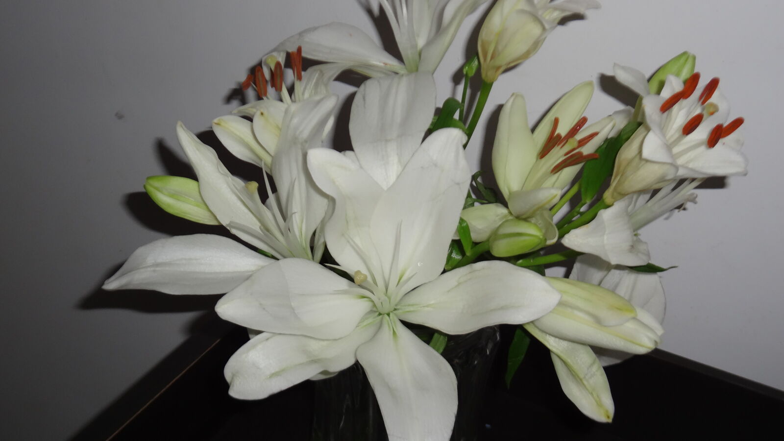 Sony Cyber-shot DSC-WX50 sample photo