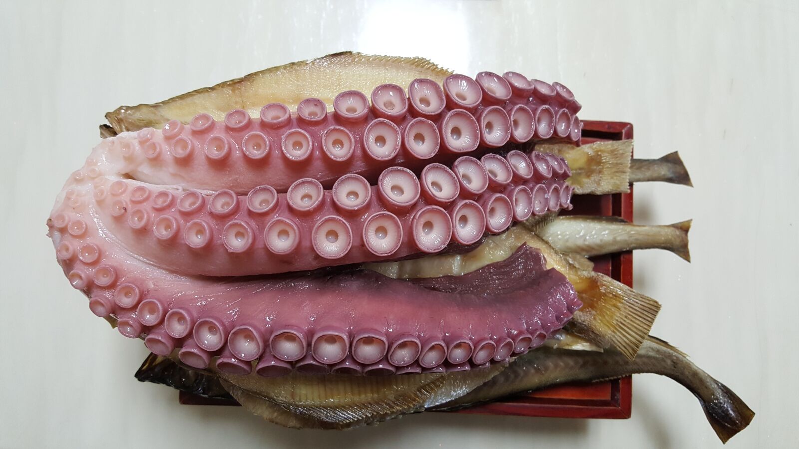 Samsung Galaxy Note5 sample photo. The upper electrode, octopus photography
