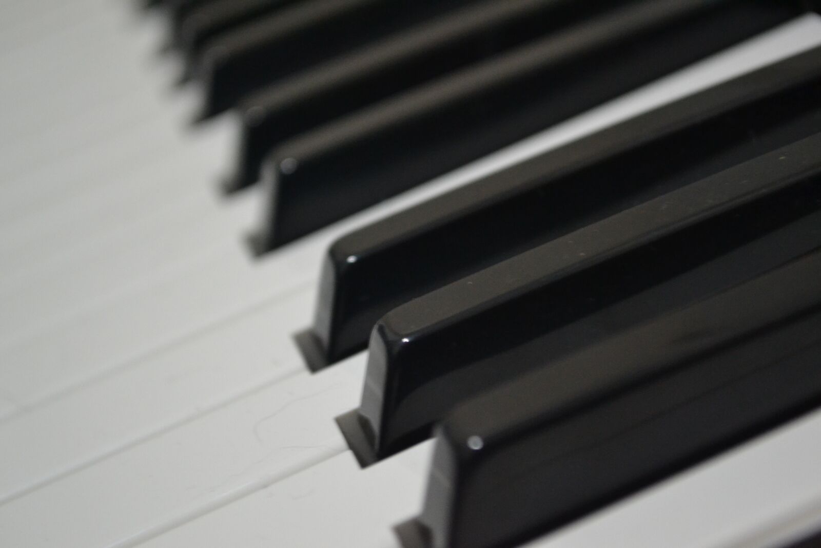 Nikon D3100 sample photo. Piano, keys, music photography