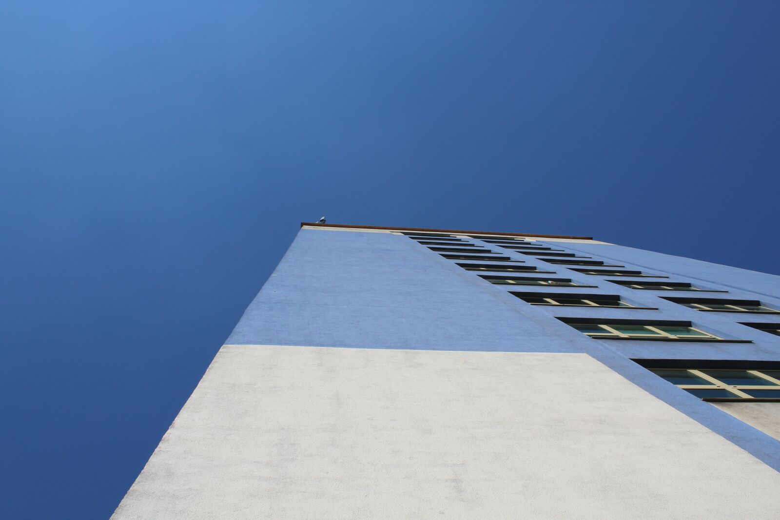 Canon EOS 1300D (EOS Rebel T6 / EOS Kiss X80) sample photo. Wall, building, office building photography
