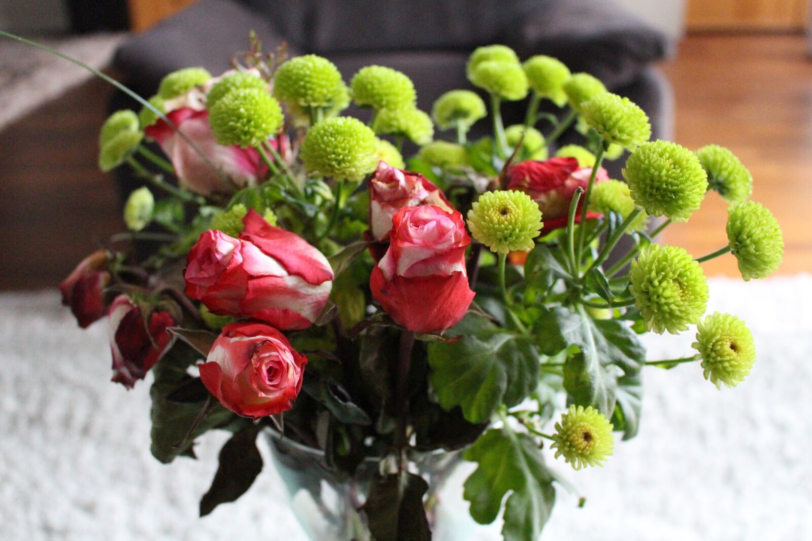 Canon EOS 700D (EOS Rebel T5i / EOS Kiss X7i) sample photo. Flower, strauss, rose photography