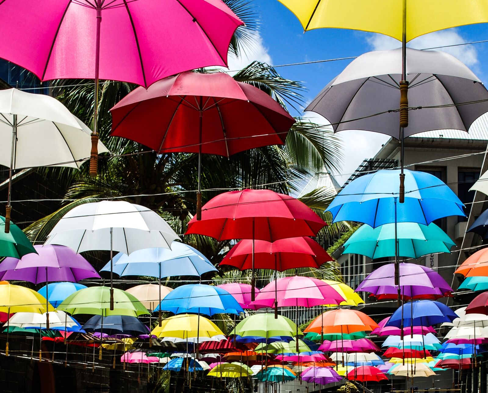 Nikon D60 sample photo. Umbrellas, sky, hanging photography