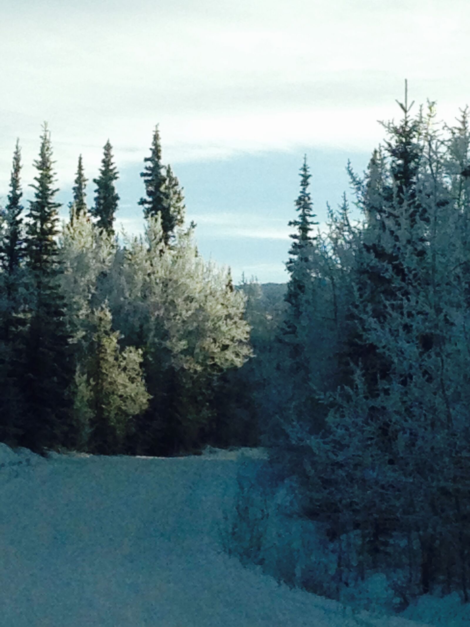 iPhone 5 back camera 4.12mm f/2.4 sample photo. Frost, light, nature, road photography
