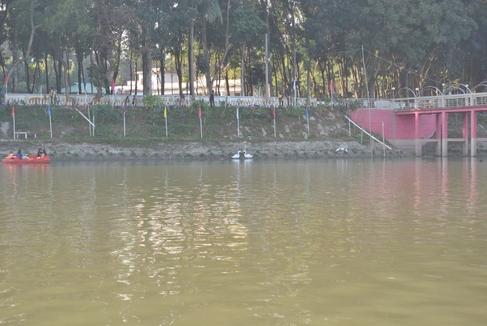 Nikon D3000 sample photo. Lake side, tree, outdoors photography