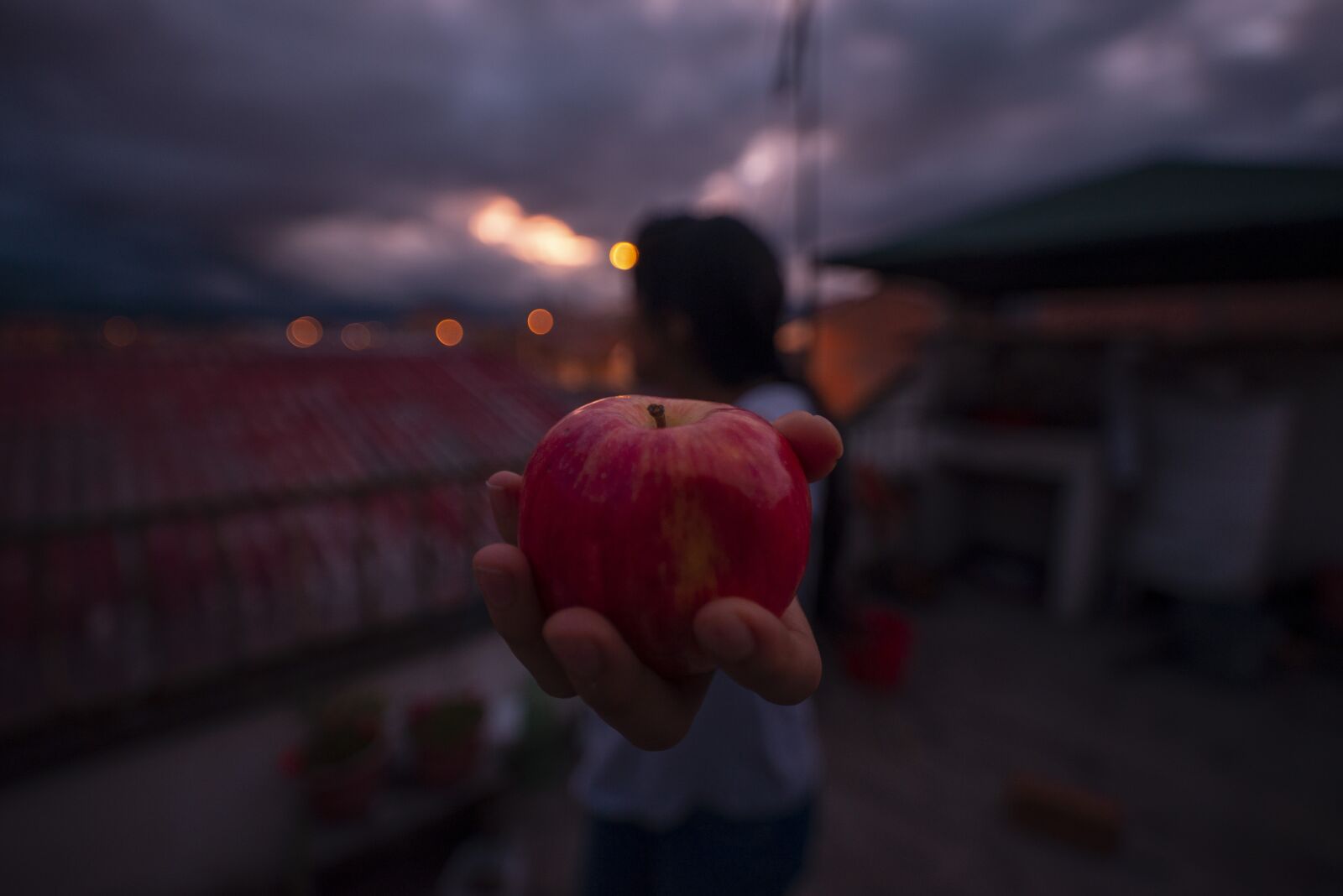 Nikon D600 sample photo. Apple, angular, manzano photography