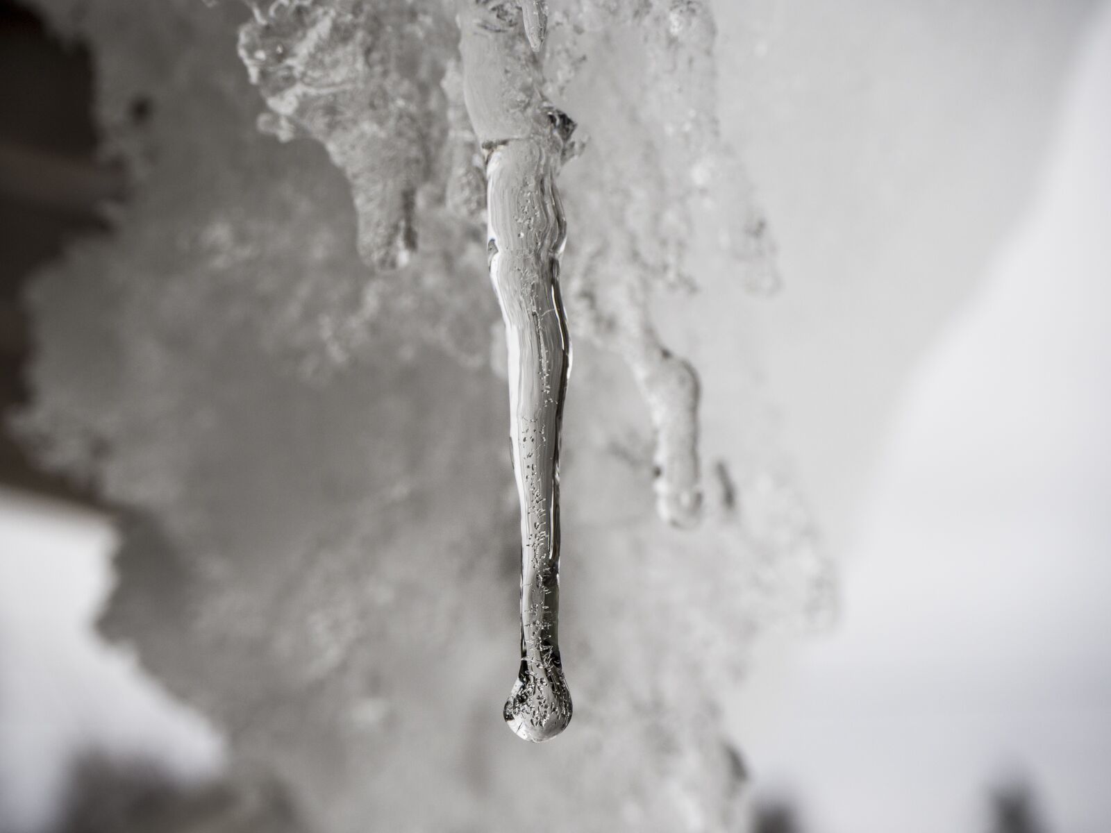 Olympus OM-D E-M10 II sample photo. Icicle, melting, sun photography