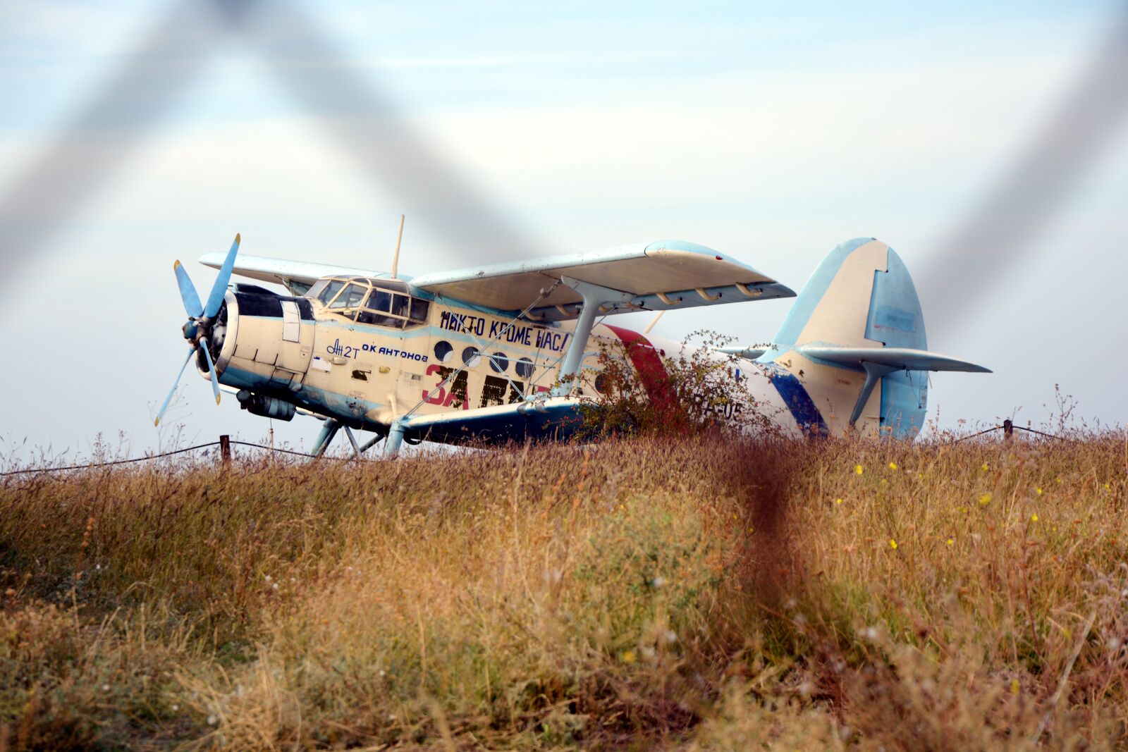 Nikon D7100 sample photo. Plane, retro, maize photography