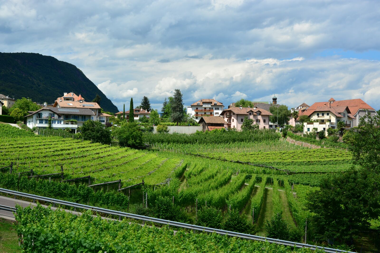 Nikon D7100 sample photo. Agriculture, nature, house photography