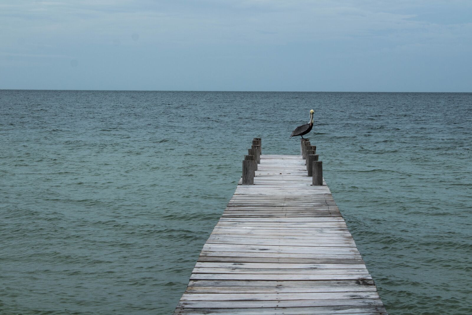 Canon EOS 1300D (EOS Rebel T6 / EOS Kiss X80) sample photo. Body of water, sea photography