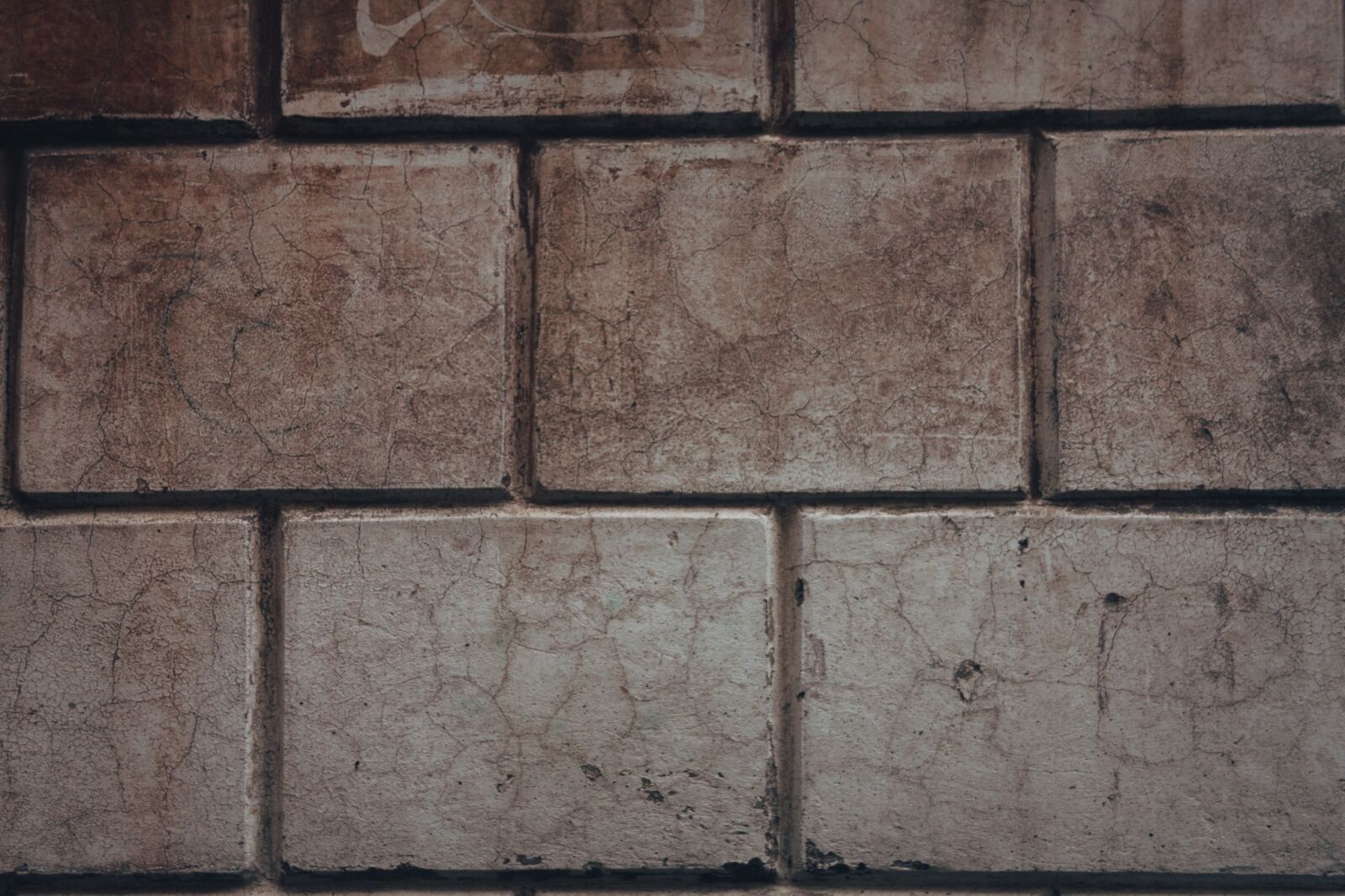 Canon EOS 500D (EOS Rebel T1i / EOS Kiss X3) sample photo. Texture, wall, brick photography