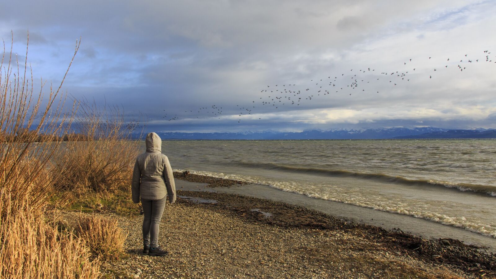 Canon EOS 650D (EOS Rebel T4i / EOS Kiss X6i) sample photo. Stormy, winter, lake constance photography