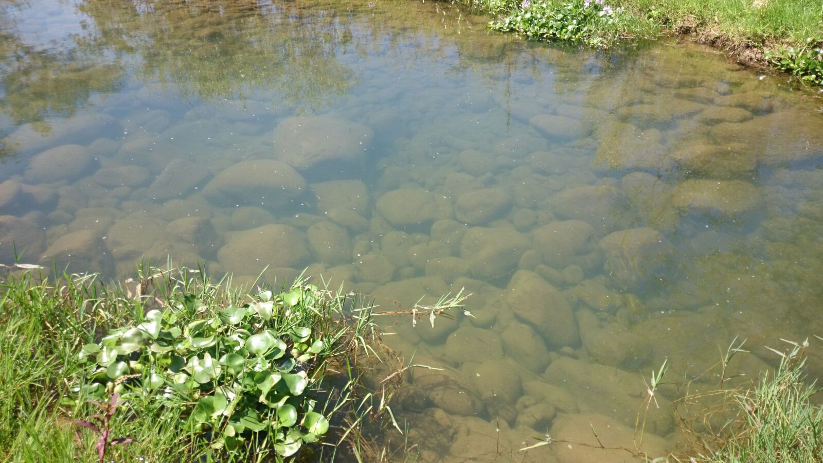 Sony Xperia Z1 sample photo. Lago, verde, naturaleza photography