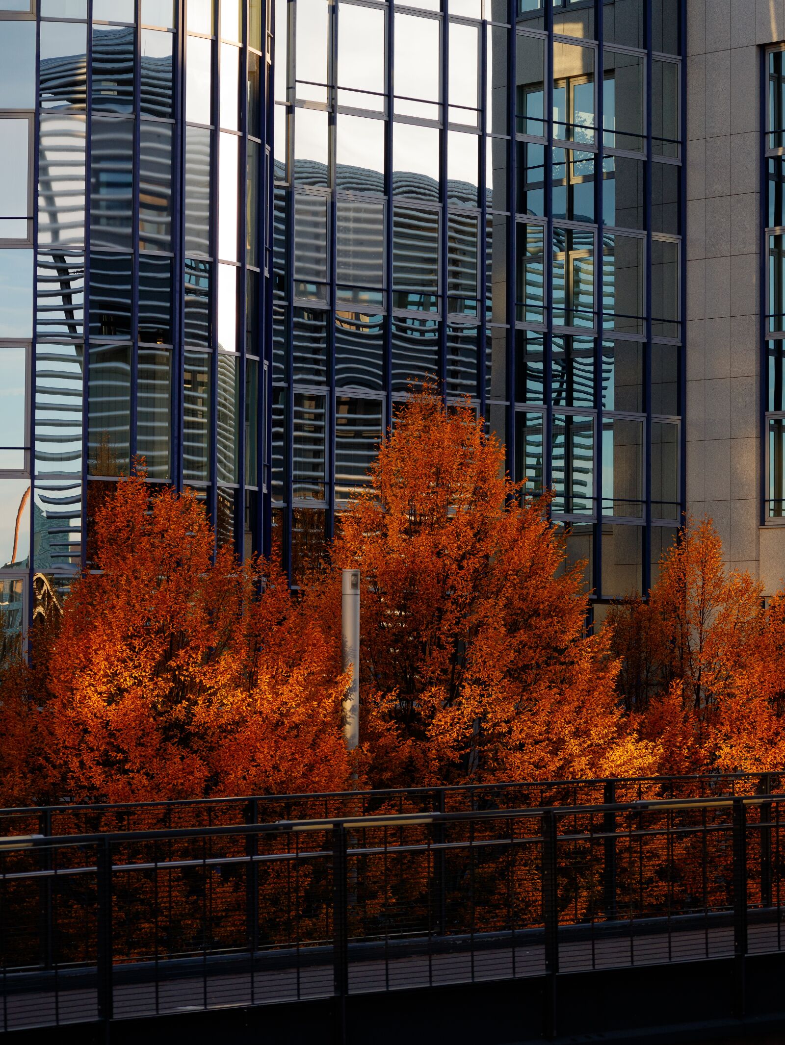 Canon EOS M3 sample photo. Autumn, city, trees photography