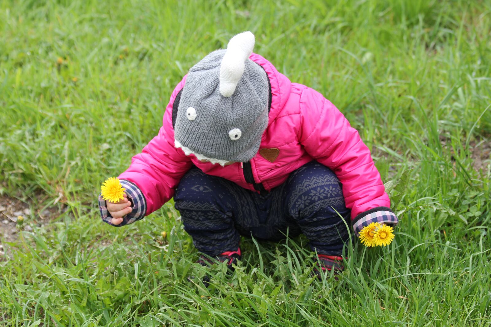 Canon EOS 550D (EOS Rebel T2i / EOS Kiss X4) sample photo. Child, baby girl, dandelions photography
