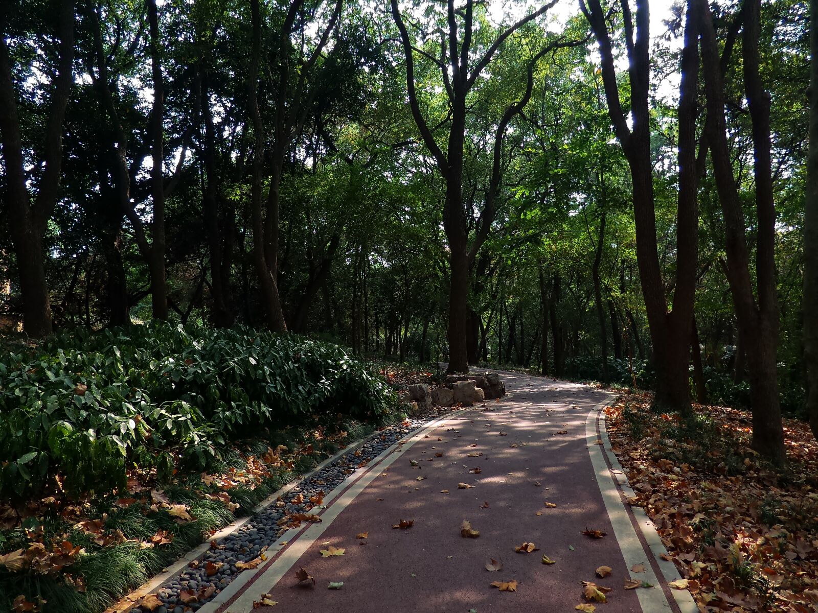 ASUS Z00XSB sample photo. Mountains, quiet, tree-lined path photography