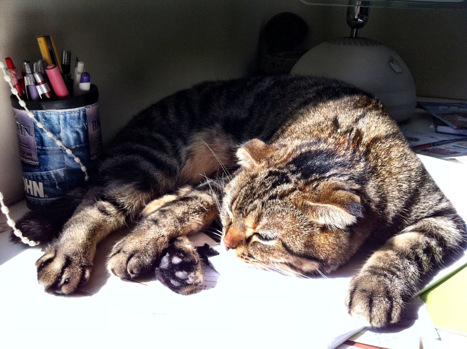 Apple iPhone 4 sample photo. Cat, rest, sinshine, sleep photography