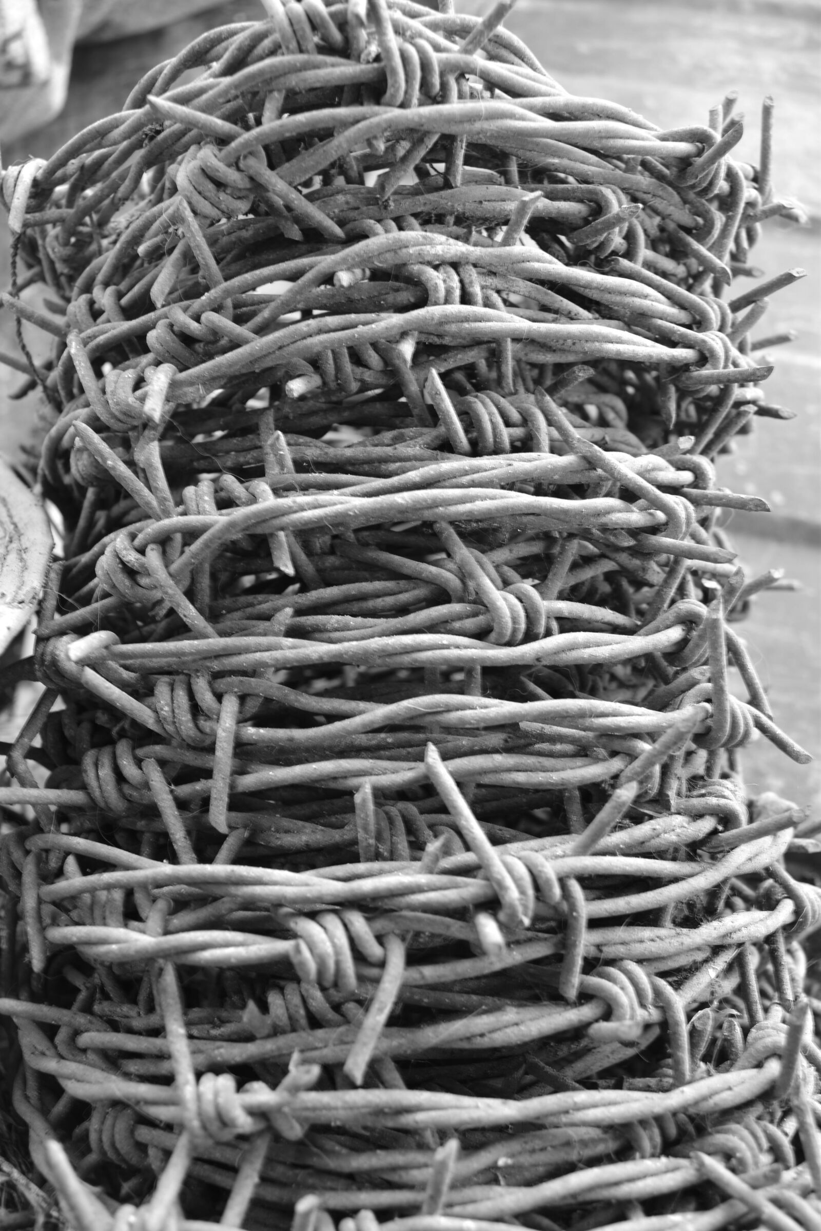Nikon D5500 sample photo. Wire, blackandwhite, bulb wire photography