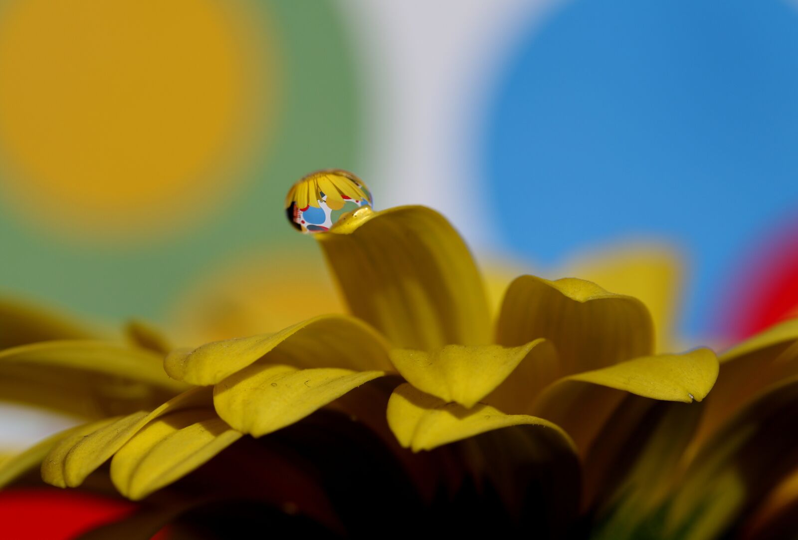 Canon EF-S 60mm F2.8 Macro USM sample photo. Drops, water, macro photography