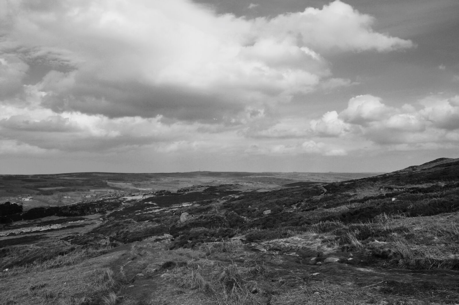 Nikon D5000 sample photo. Black and white photo photography