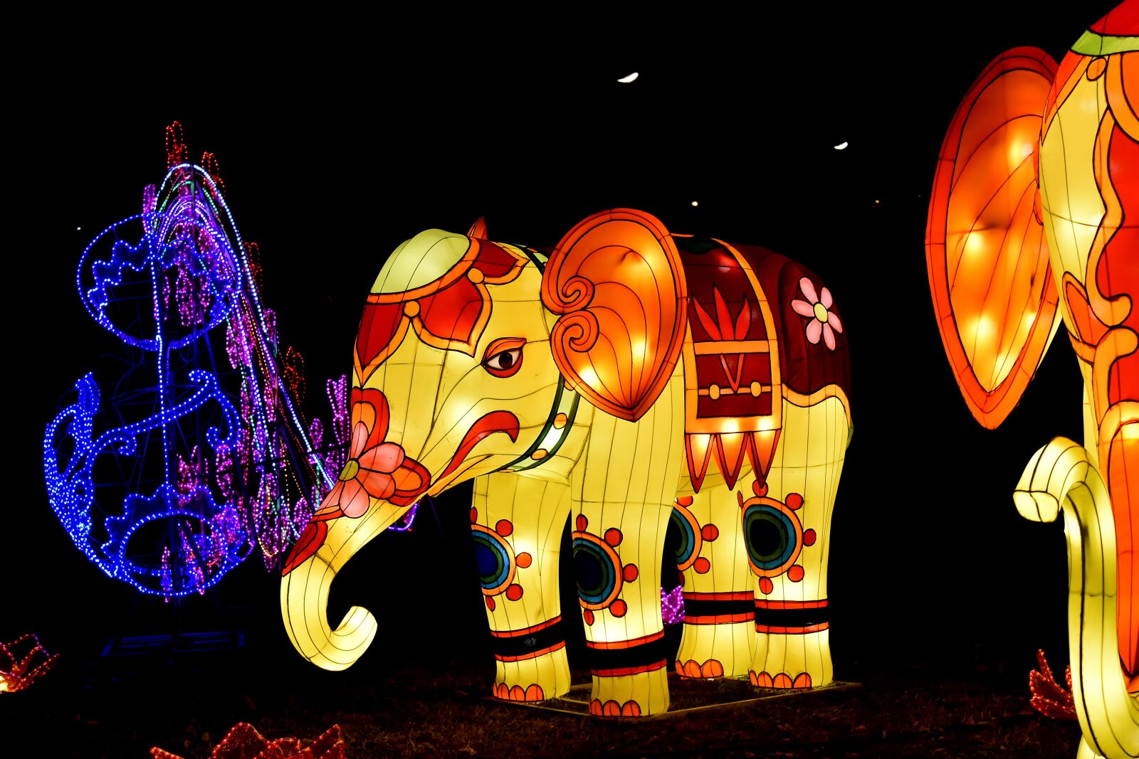 Nikon D5500 sample photo. China, colorful, elephant, heritage photography