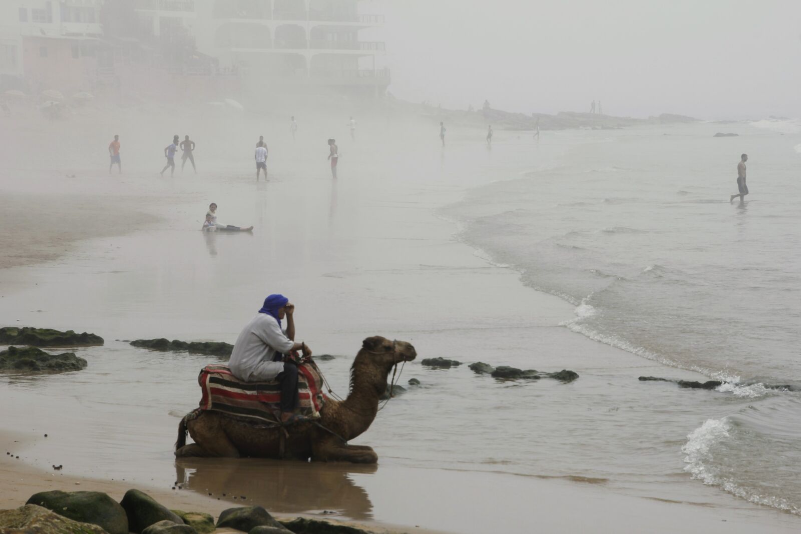 Canon EOS 60D sample photo. Camel, beach, fog photography