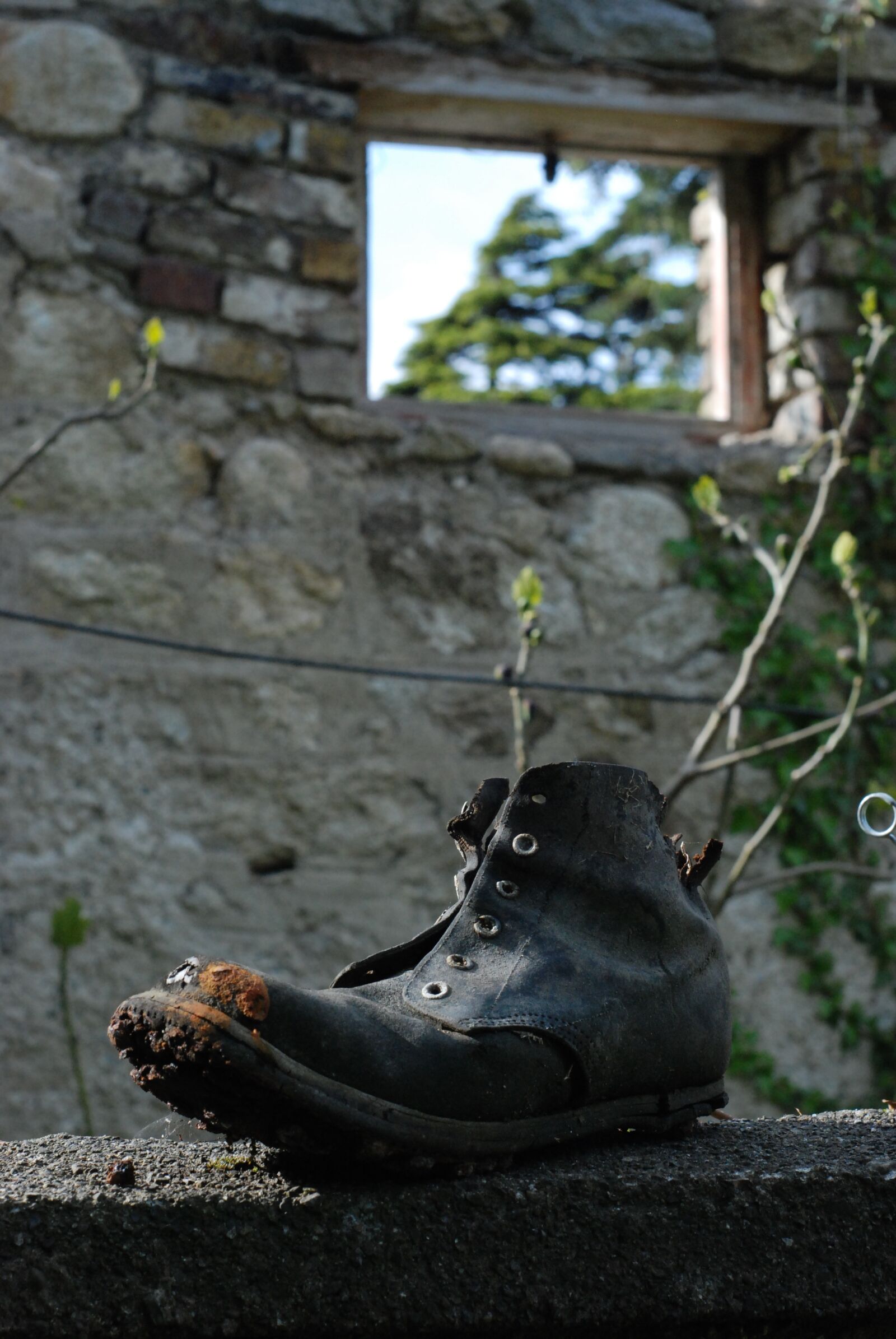 Nikon D80 sample photo. Old shoe, shoe, garden photography