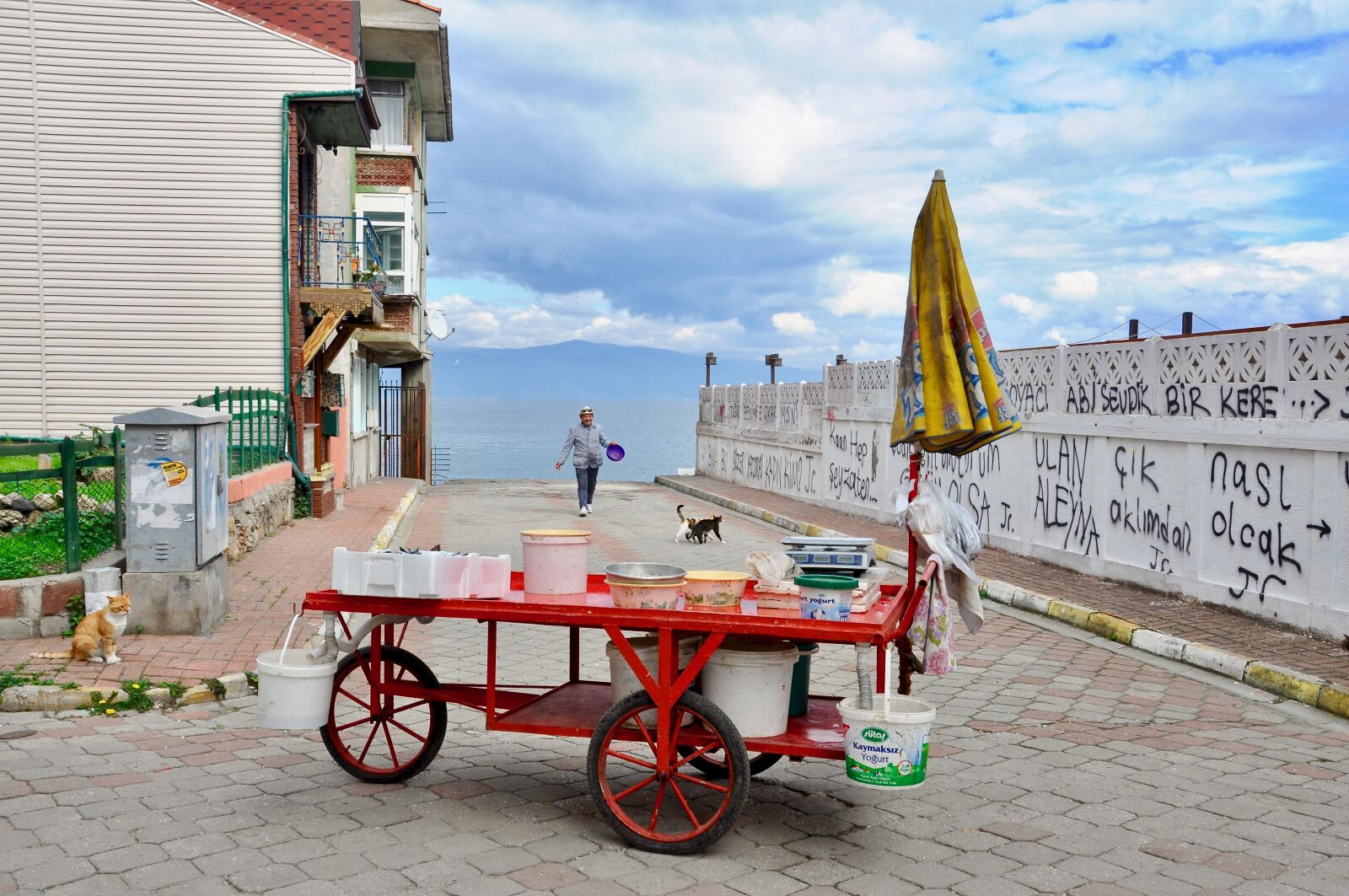 Nikon D90 sample photo. Fisherman, cat, mudanya photography