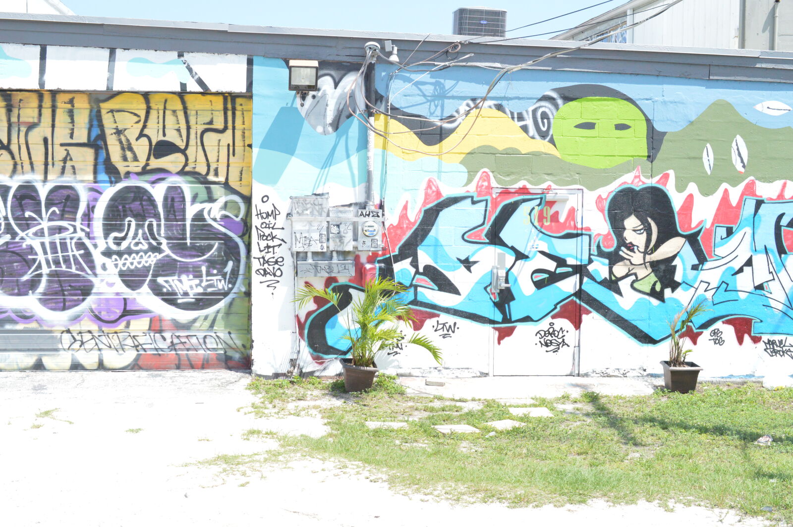 Nikon D3200 + Nikon AF-S DX Micro Nikkor 40mm F2.8 sample photo. Art, broward, colors, graffiti photography