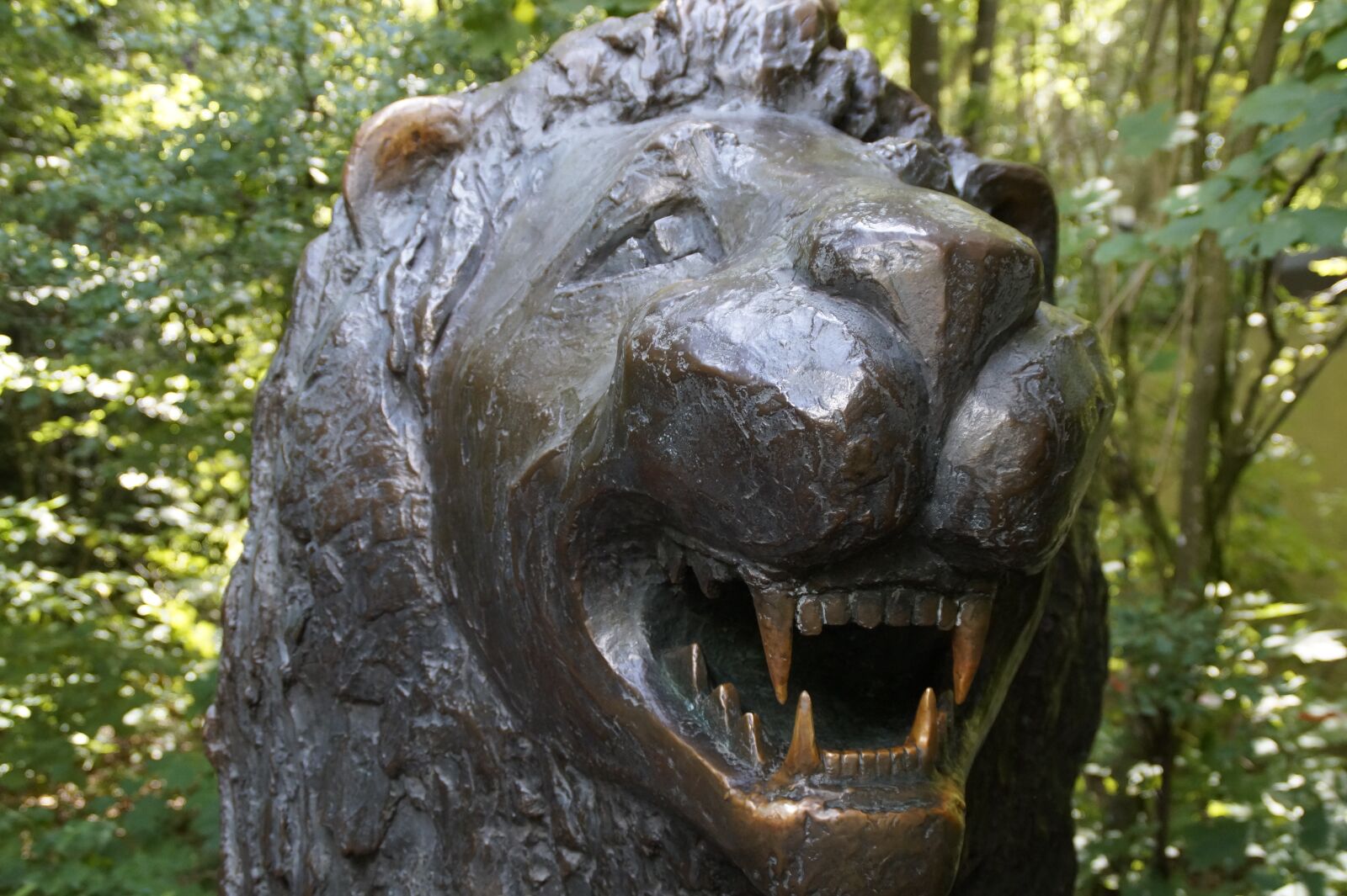 Sony SLT-A58 sample photo. Lion, metal, tooth photography