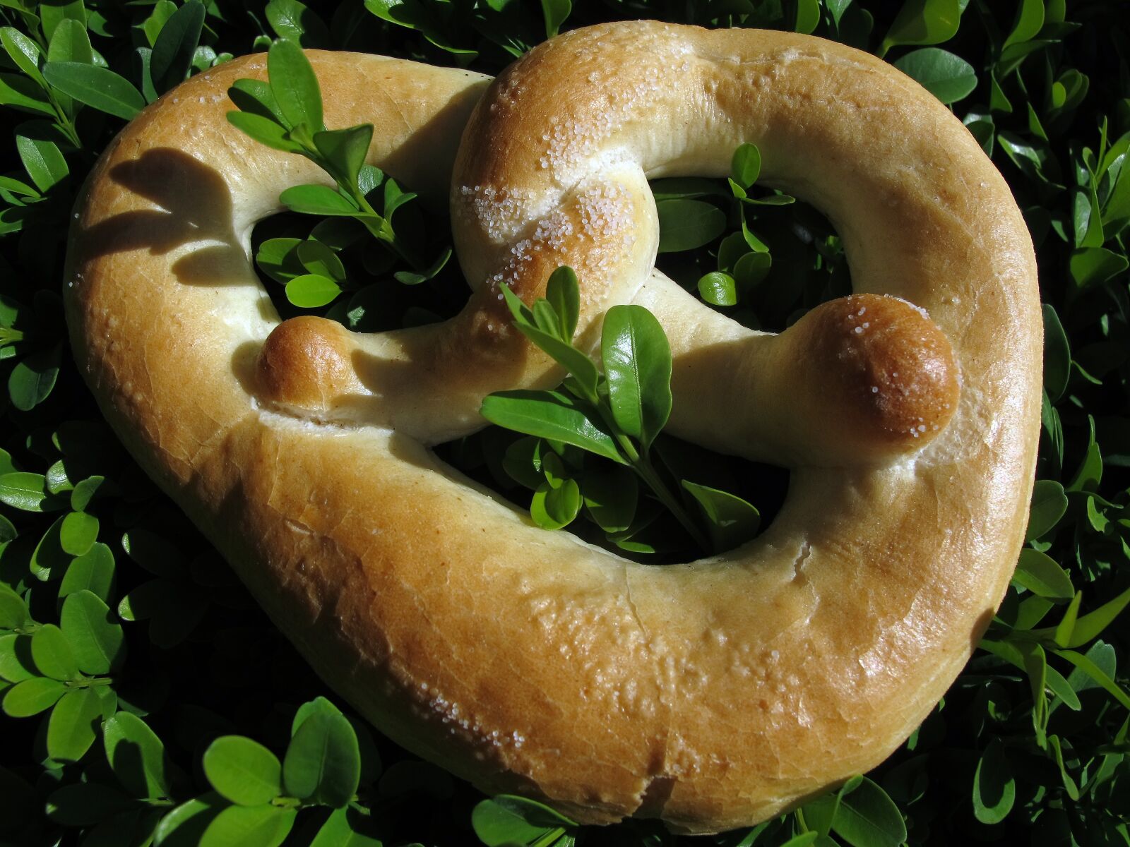Canon PowerShot G12 sample photo. Breze, pretzel, isolated photography