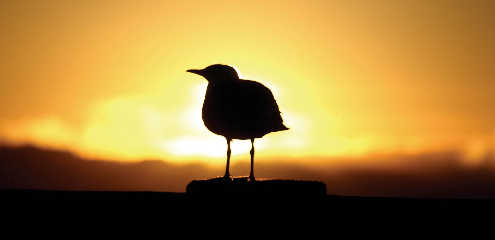 Canon EOS 5D sample photo. Sun, clouds, ocean photography