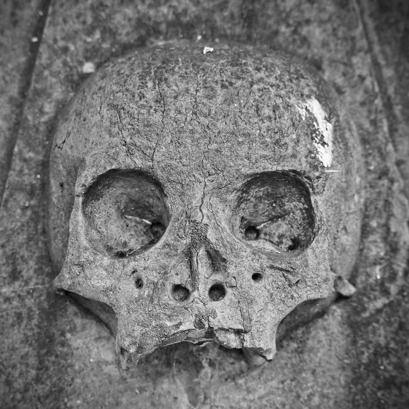 Olympus OM-D E-M10 sample photo. Skull and crossbones, tombstone photography