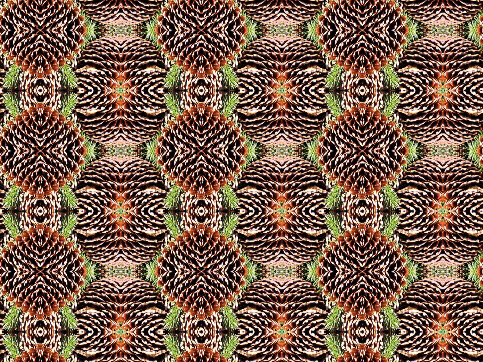 Sony DSC-HX200V sample photo. Texture, graphics, pattern photography