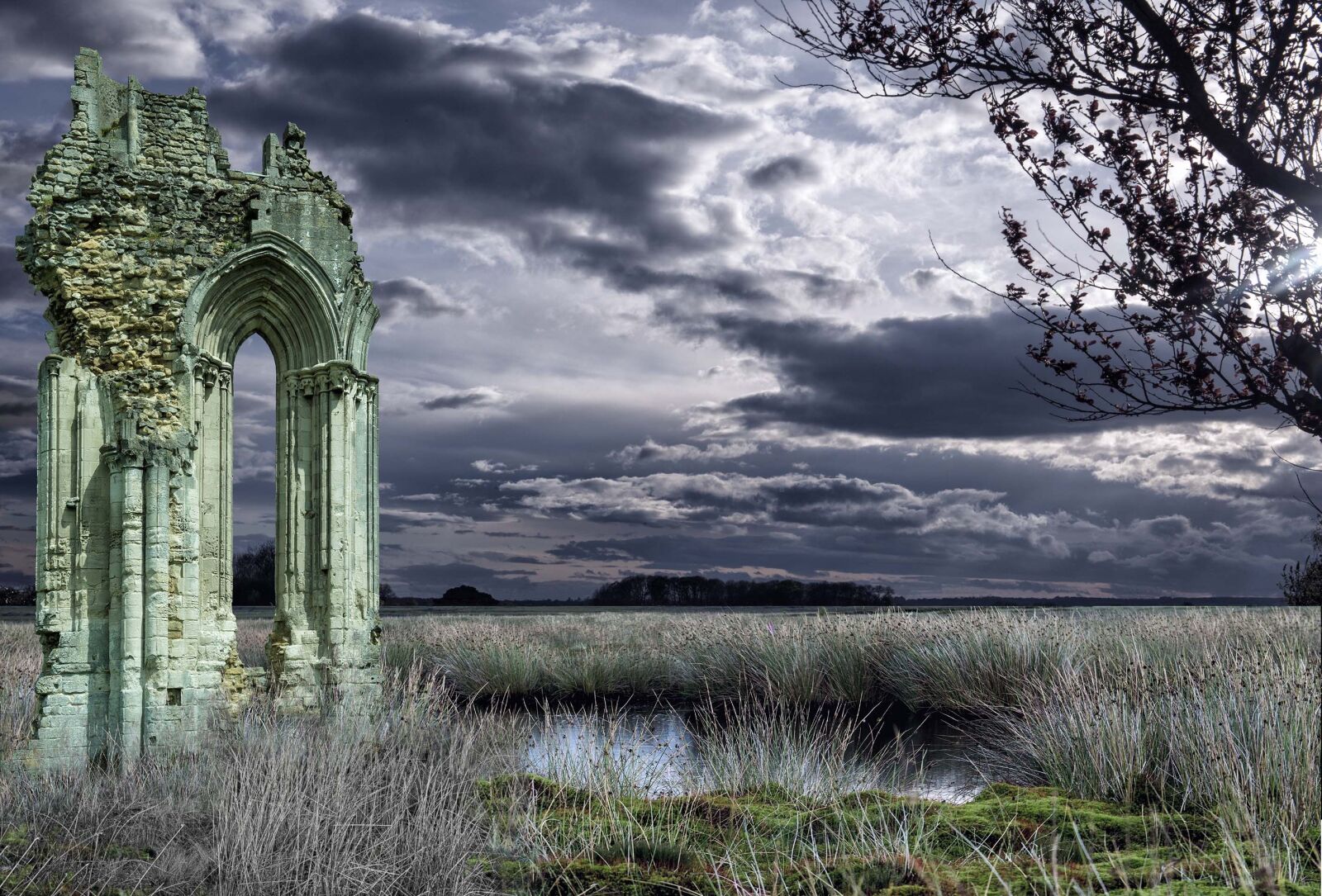 Nikon D800 sample photo. Abbey window, ruin, abbey photography