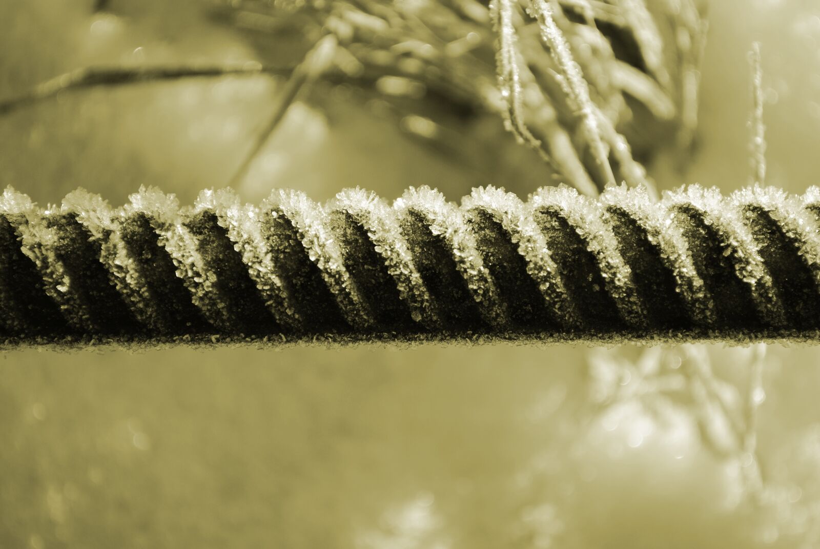Nikon D3000 sample photo. Winter, landscape, snow photography