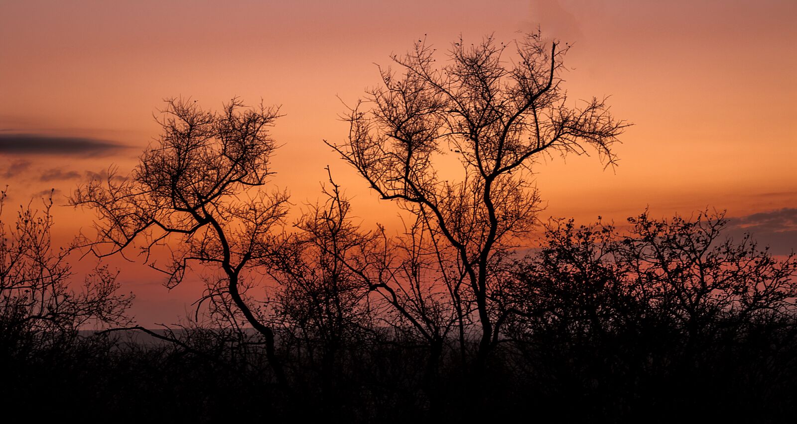 Canon EOS 7D Mark II sample photo. Sunset, over, umkhuze photography
