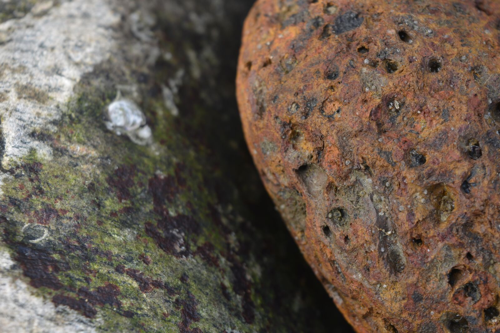 Nikon D5200 sample photo. Stone at sea shore photography