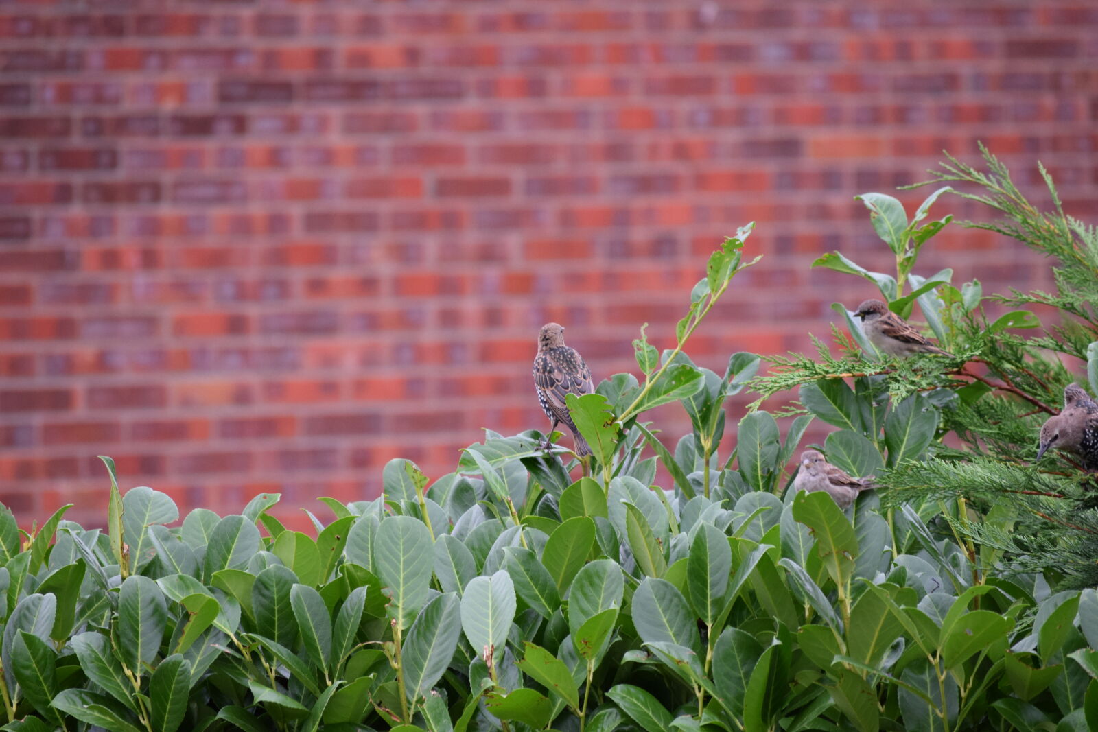 Nikon D3300 sample photo