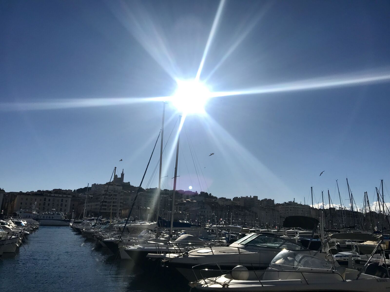 iPhone 7 back camera 3.99mm f/1.8 sample photo. France, marseille, travel photography