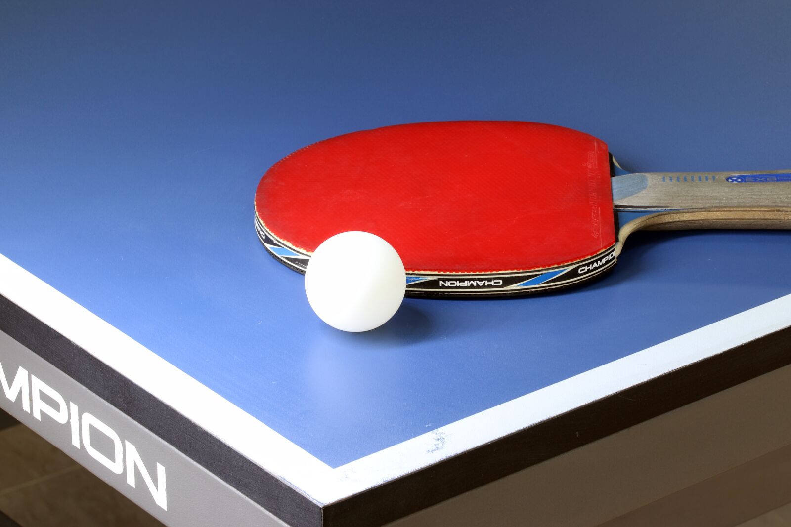 Canon EOS 800D (EOS Rebel T7i / EOS Kiss X9i) sample photo. Table tennis, sport, games photography
